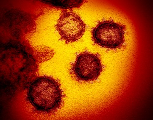 Coronavirus and Your Pregnancy