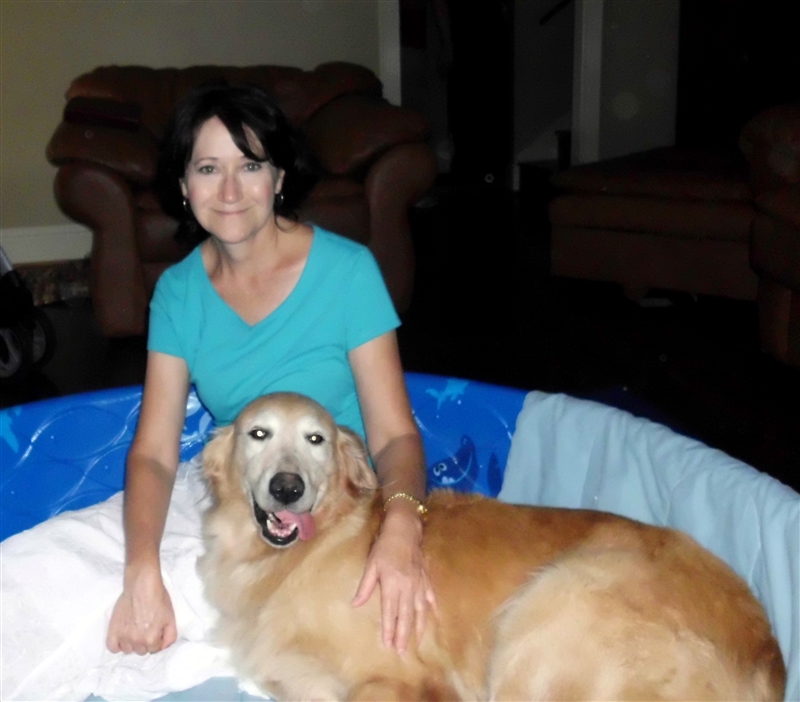 becoming a doula - International doula month